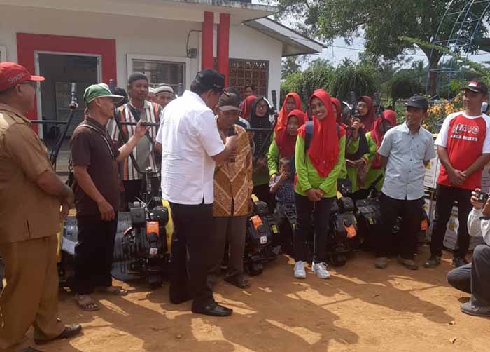 adv pertanian foto